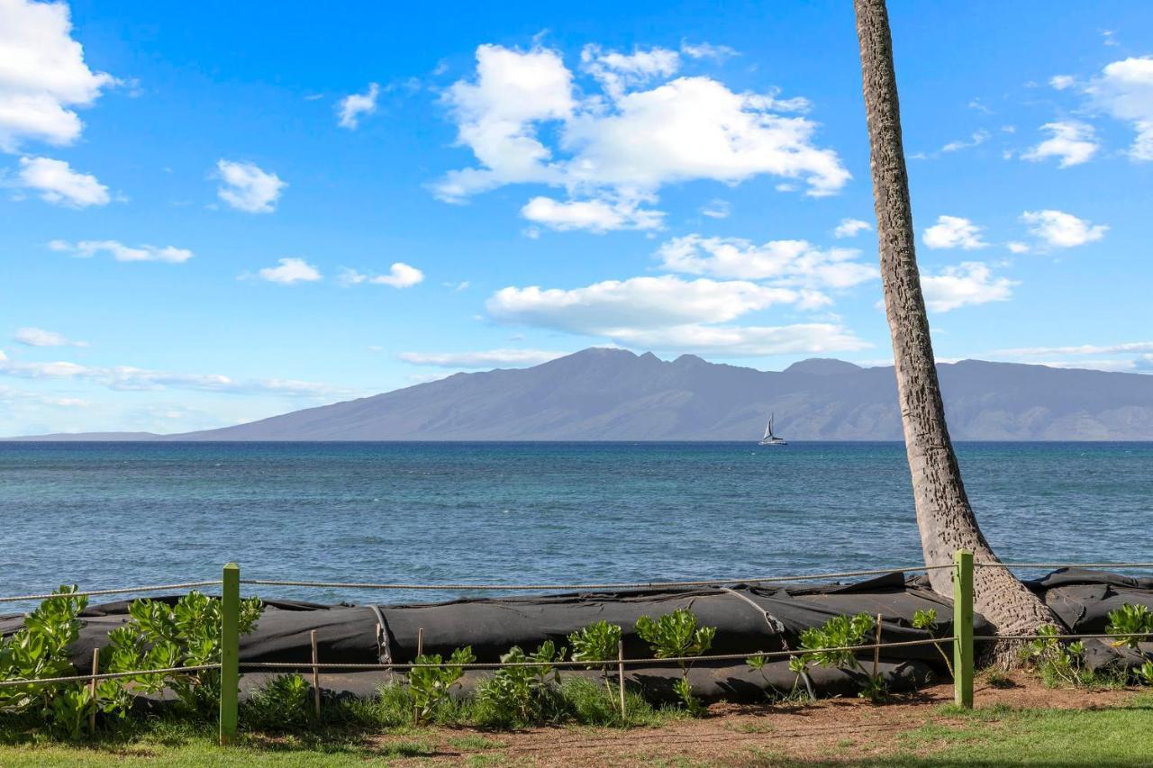 Incredible Beachfront 1Br - Sleeps 4 Awesome Location And In The Center Of Restaurants Many Beaches Golf And More Kahana Exterior foto